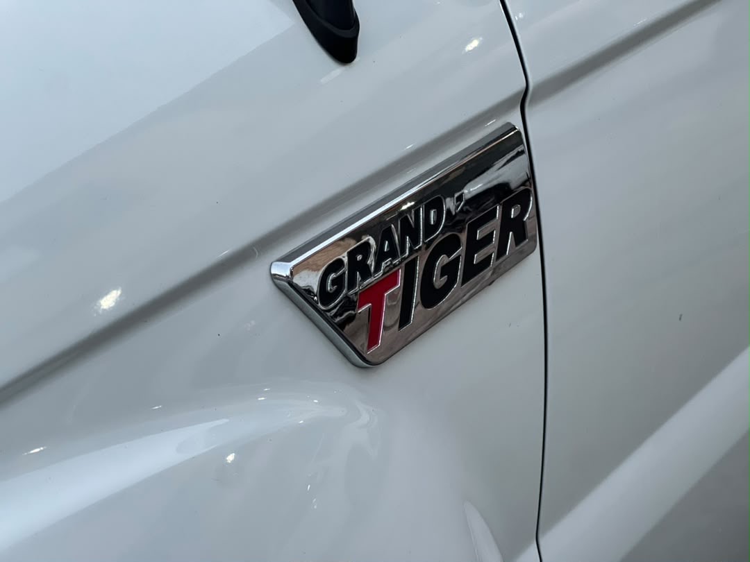 Grand tiger  Zxauto 2020 5